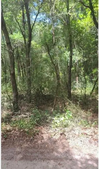 Southwest 156th Place, Dunnellon, FL 34432 - Image #1