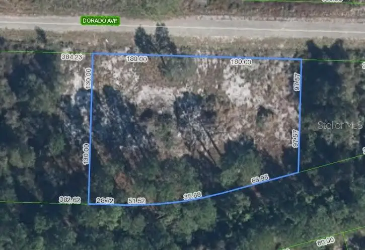 3348 Dorado Avenue, Lake Placid, FL 33852 - Image #1