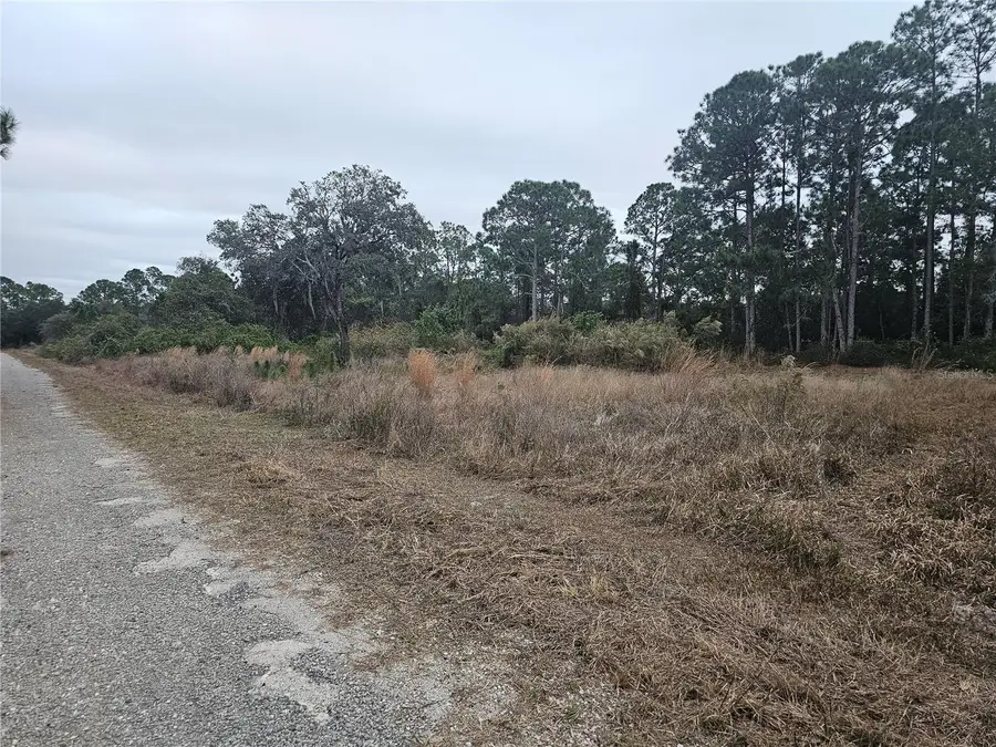 3348 Dorado Avenue, Lake Placid, FL 33852 - Image #3