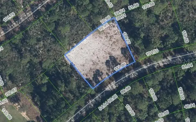 3129 Locust Avenue, Lake Placid, FL 33852 - Image #2