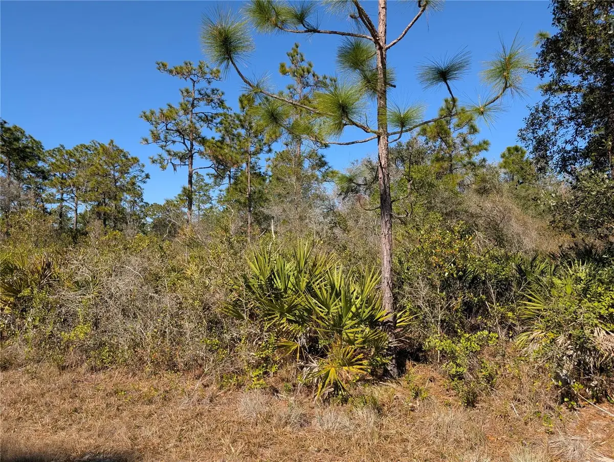 612 Magnolia Drive, Indian Lake Estates, FL 33855 - #1