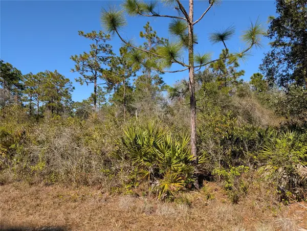 612 Magnolia Drive, INDIAN LAKE ESTATES, FL 33855