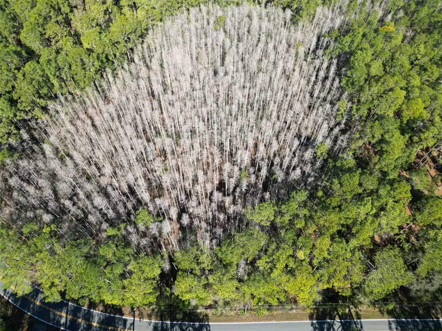 Green Pond Road, Polk City, FL 33868 - #3