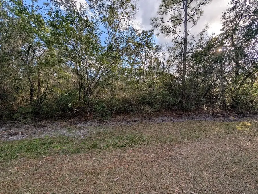 1005 Bougainville Drive, Indian Lake Estates, FL 33855 - Image #2