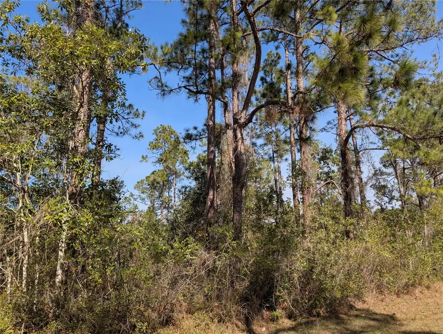 220 Pandora Drive, Indian Lake Estates, FL 33855 - #2