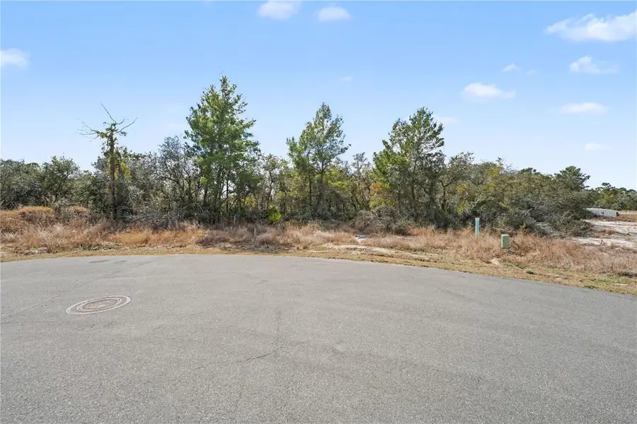 1204 Waverly Place, Poinciana, FL 34759 - #3