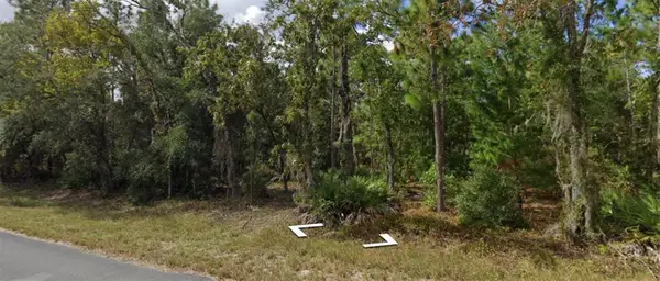129 Christmas Drive, FLORAHOME, FL 32140