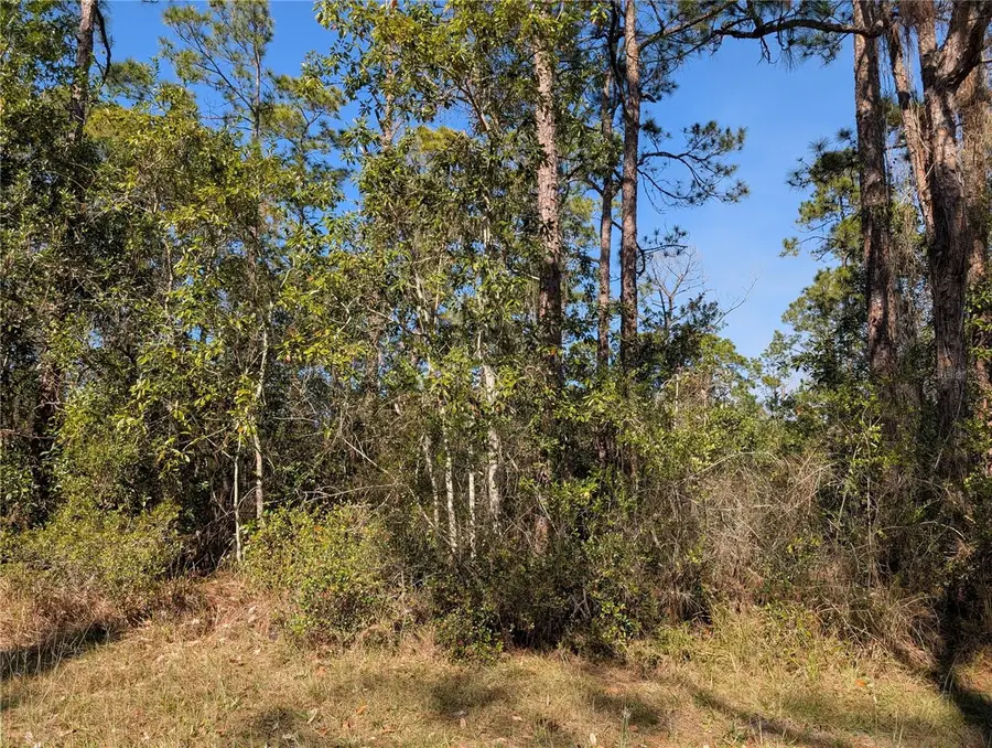 214 & 216 Allamanda Drive, Indian Lake Estates, FL 33855 - #3