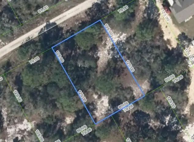 405 Tahiti Court, Lake Placid, FL 33852 - #2