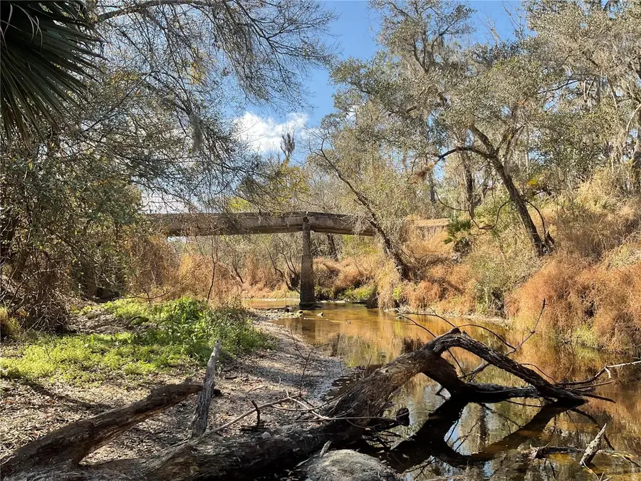 4051-3803 Dixiana Drive, Bowling Green, FL 33834 - #3