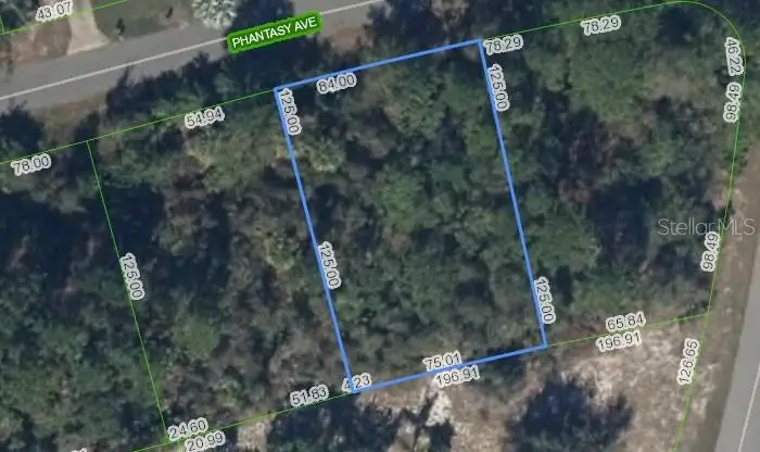 241 Phantasy Avenue, Lake Placid, FL 33852 - #2