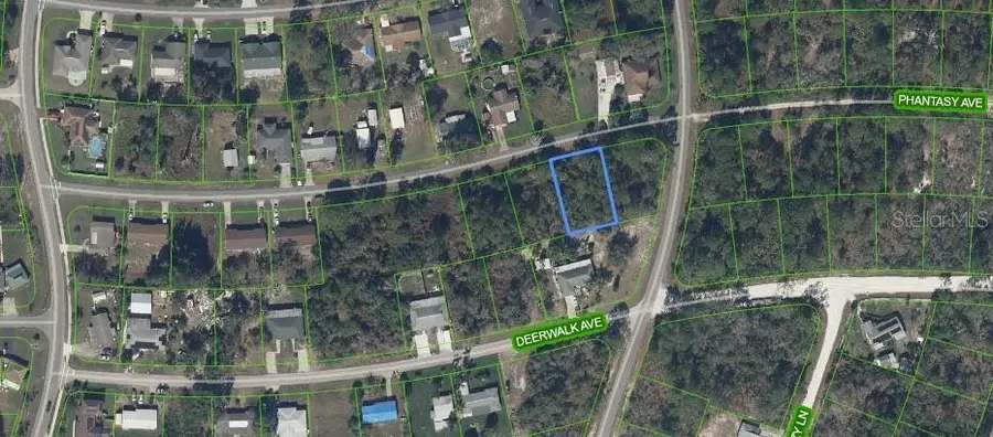 241 Phantasy Avenue, Lake Placid, FL 33852 - #3