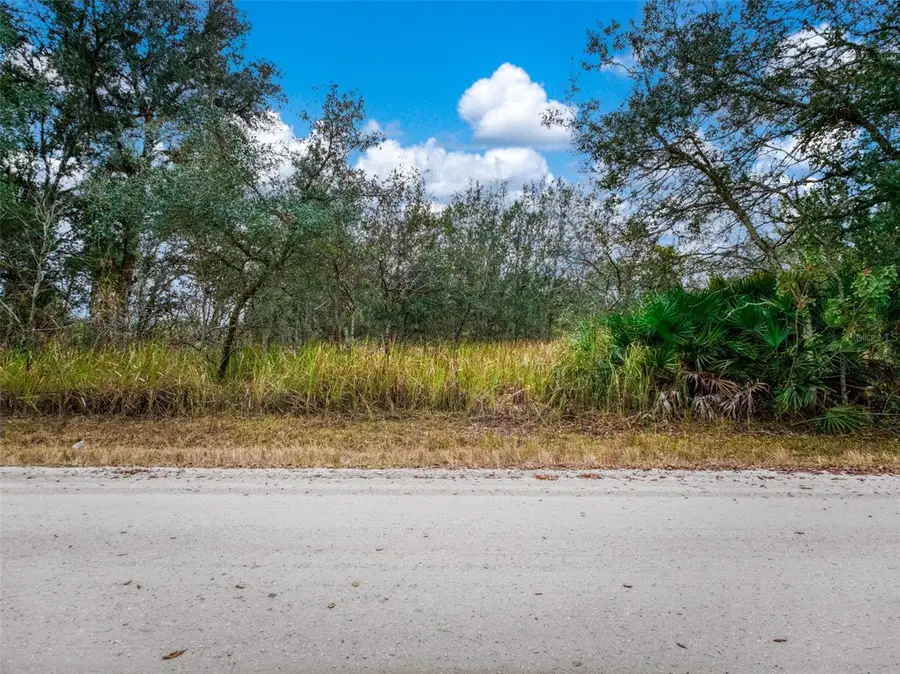 2713 W Hasbrouck Road, Avon Park, FL 33825 - #3