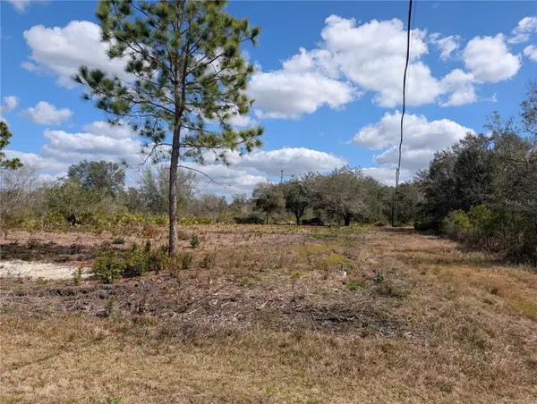 154 Desoto Avenue, INDIAN LAKE ESTATES, FL 33855