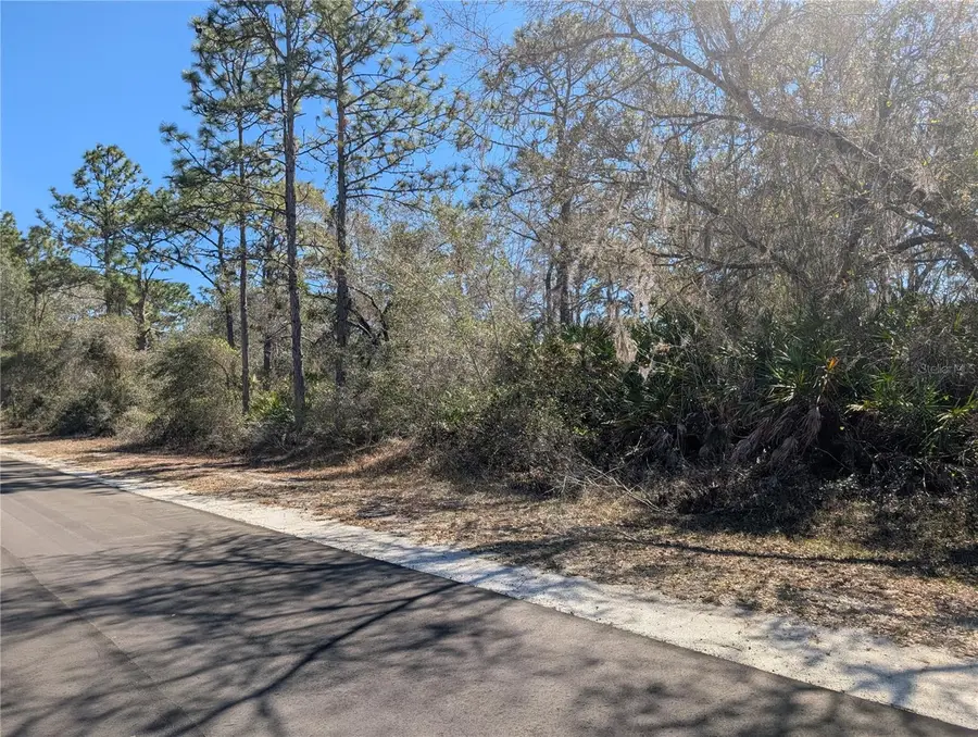 1211 Pinnata Drive, Indian Lake Estates, FL 33855 - #3