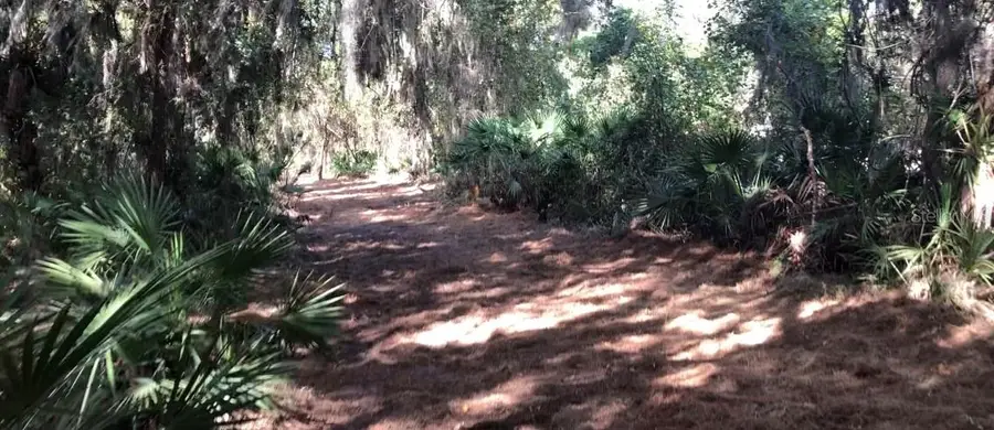 Lake Reedy Boulevard N, Frostproof, FL 33843 - #2