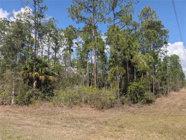 802 Althea Drive, INDIAN LAKE ESTATES, FL 33855