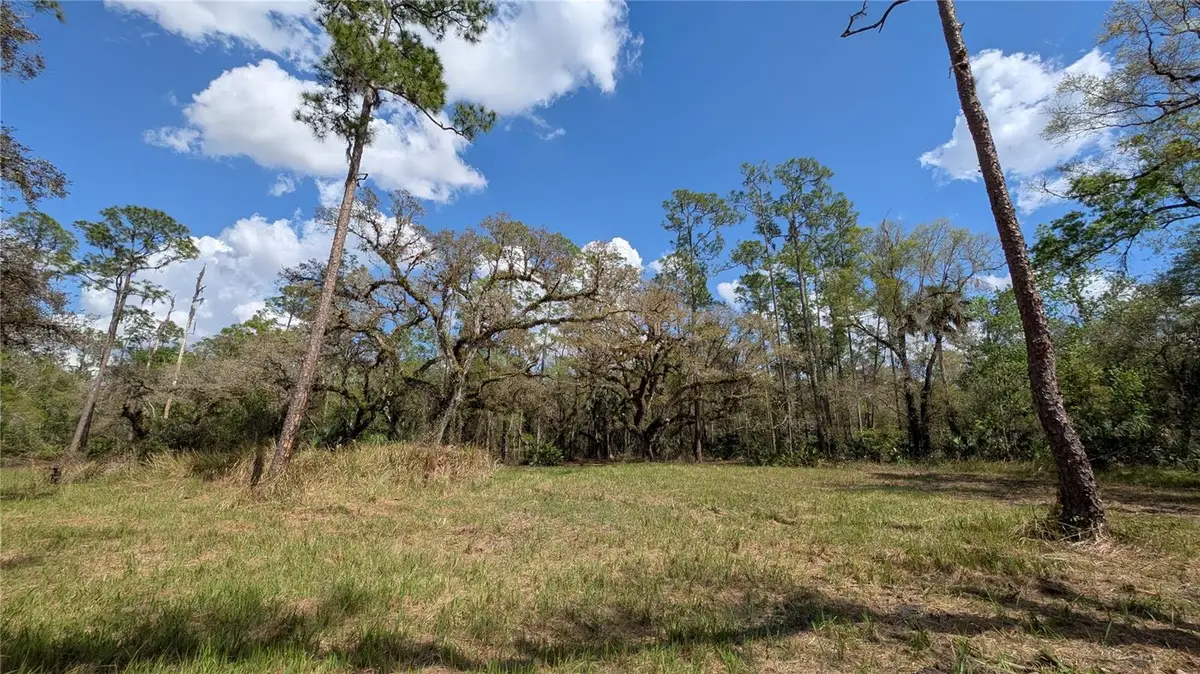 Gillette Road, Zolfo Springs, FL 33890 - #1