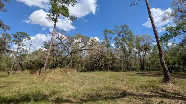 Gillette Road, ZOLFO SPRINGS, FL 33890