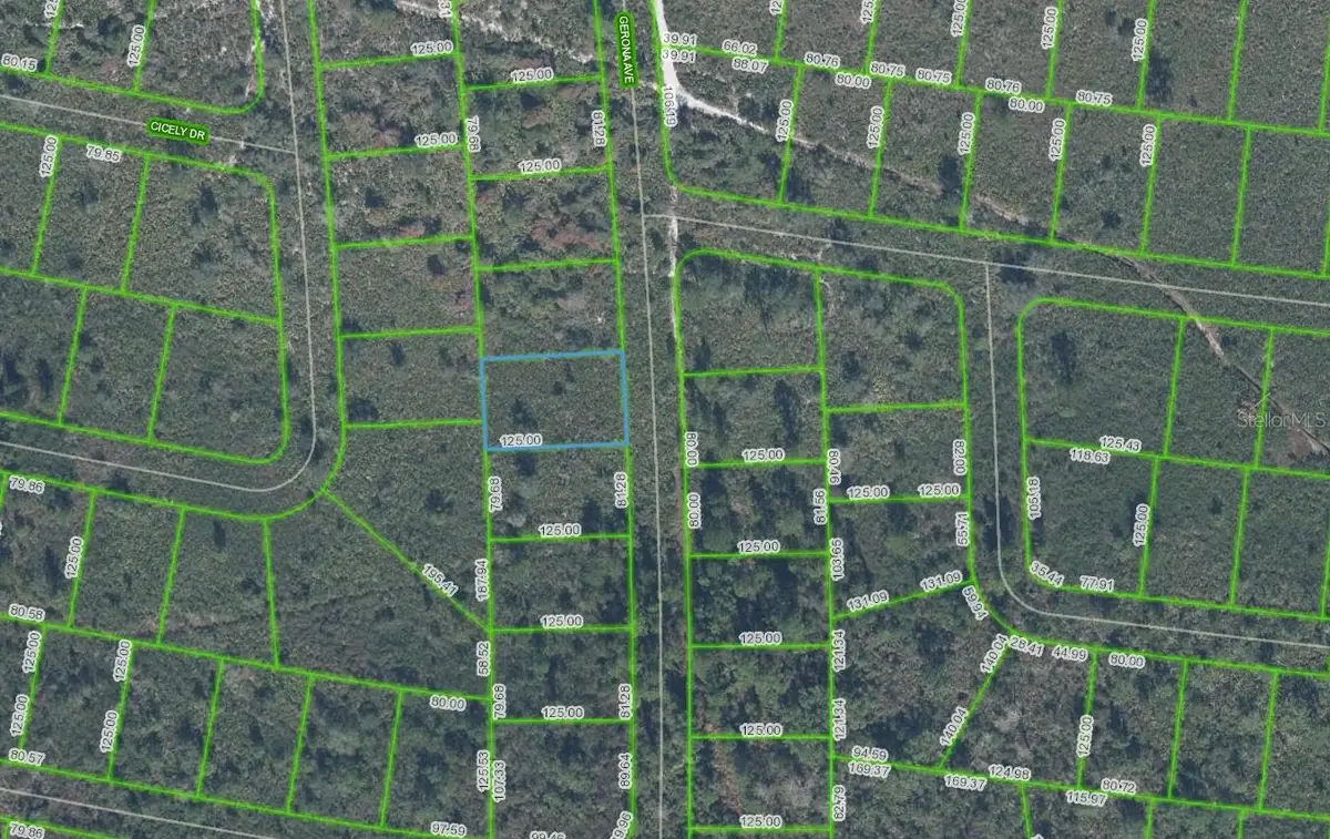 4055 Gerona Avenue, Sebring, FL 33872 - #1