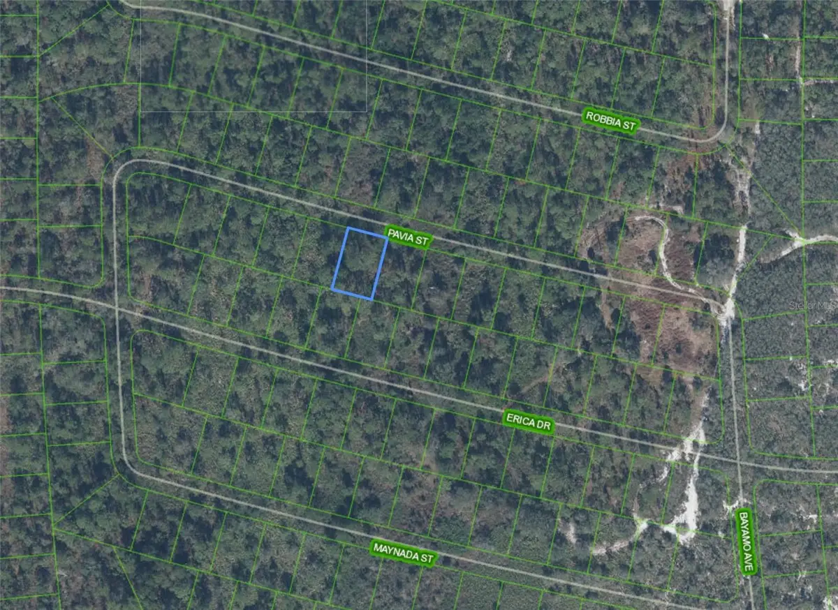 8655 Pavia Street, Sebring, FL 33872 - #1