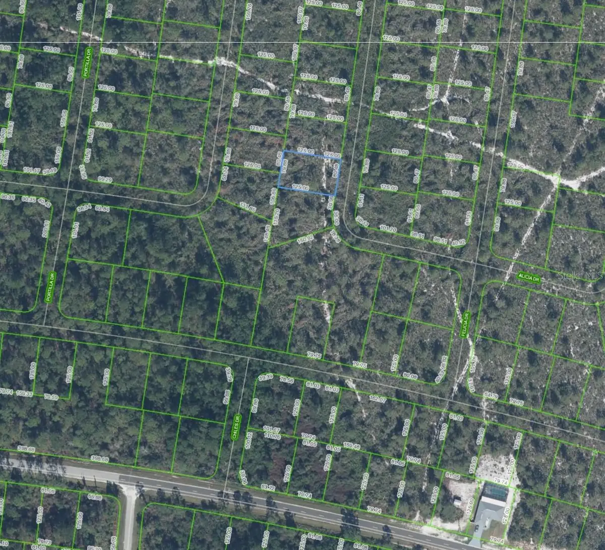 6464 Alicia Drive, Sebring, FL 33872 - #1