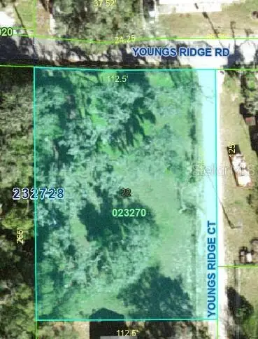 4840 Youngs Ridge Court, Lakeland, FL 33810 - #2