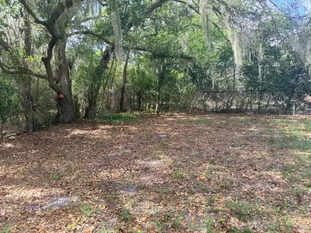 4620 San Heath Road, Bartow, FL 33830 - #2