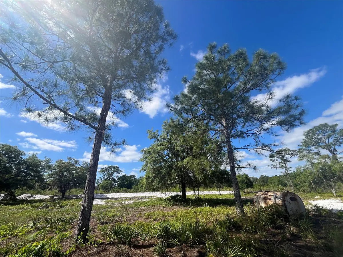 Fazzini Drive, Frostproof, FL 33843 - #1