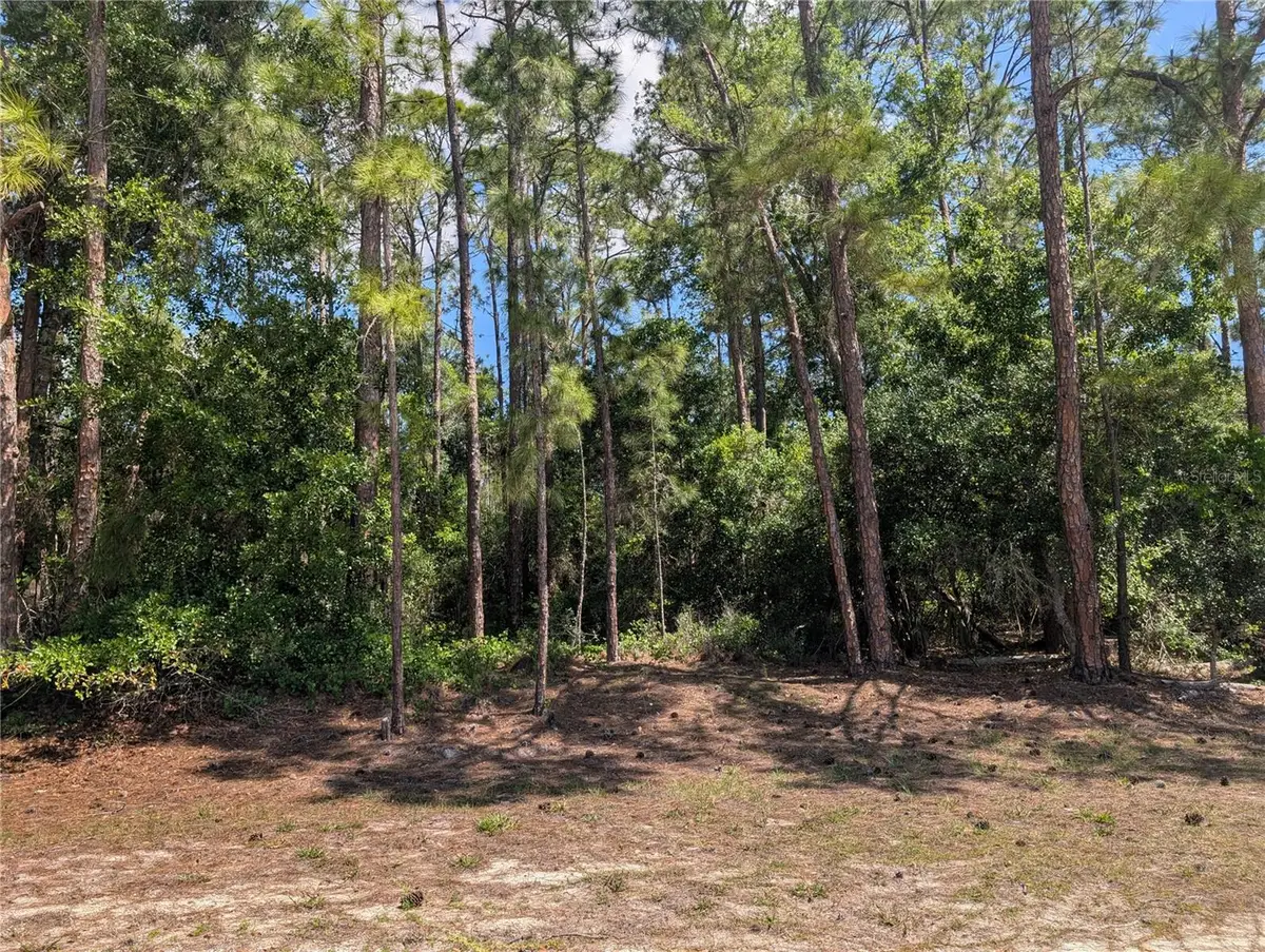 1114 Plumosa Drive, Indian Lake Estates, FL 33855 - #1