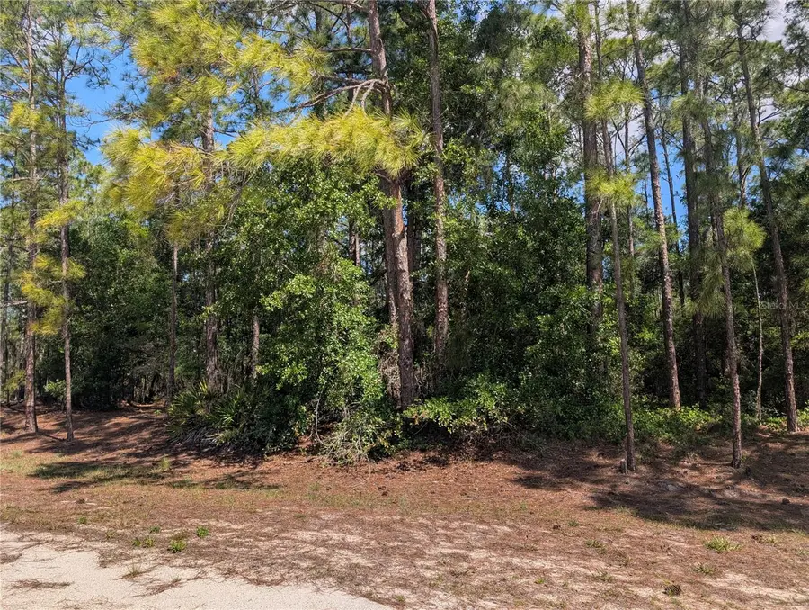 1114 Plumosa Drive, Indian Lake Estates, FL 33855 - #2