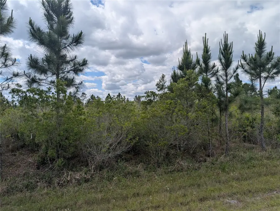 Althea Drive, Indian Lake Estates, FL 33855 - #3