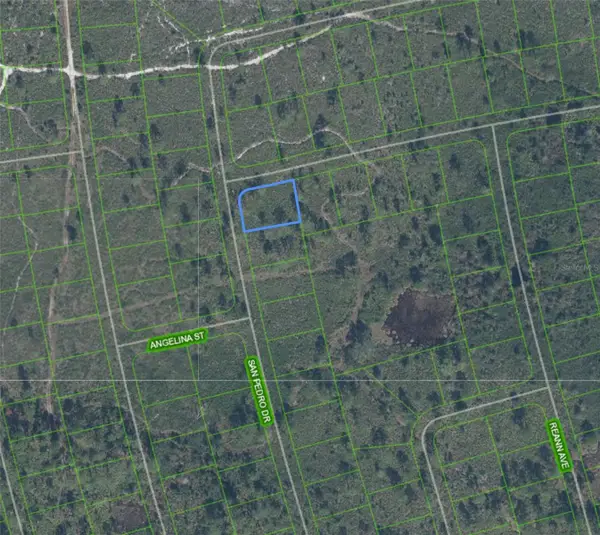 4724 San Pedro Drive, SEBRING, FL 33872