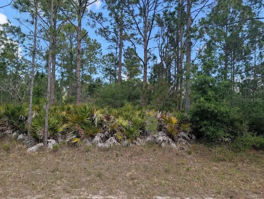 508 Orchid Drive, Indian Lake Estates, FL 33855 - #3