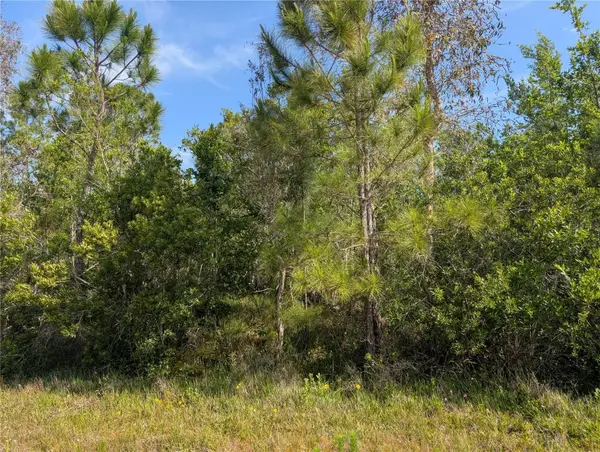 704 Orchid Drive, INDIAN LAKE ESTATES, FL 33855