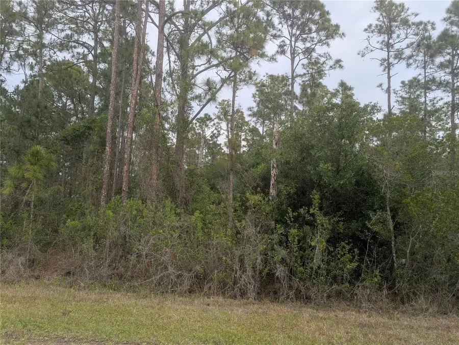 320 Alba Drive, Indian Lake Estates, FL 33855 - #3