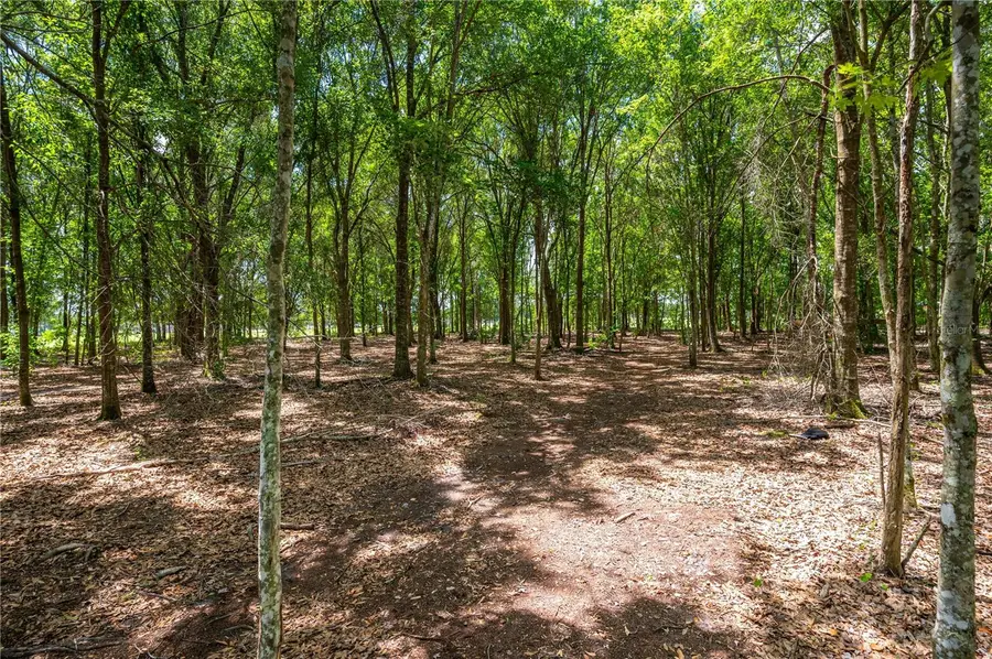 15079 Brahma Road, Polk City, FL 33868 - #3