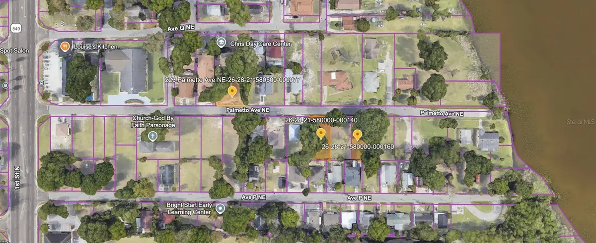 223 Palmetto Avenue Ne, Winter Haven, FL 33881 - #1