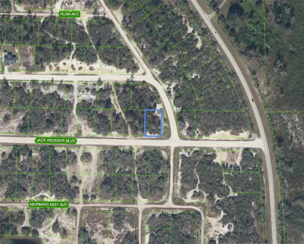 472 Jack Weisser Boulevard, LAKE PLACID, FL 33852