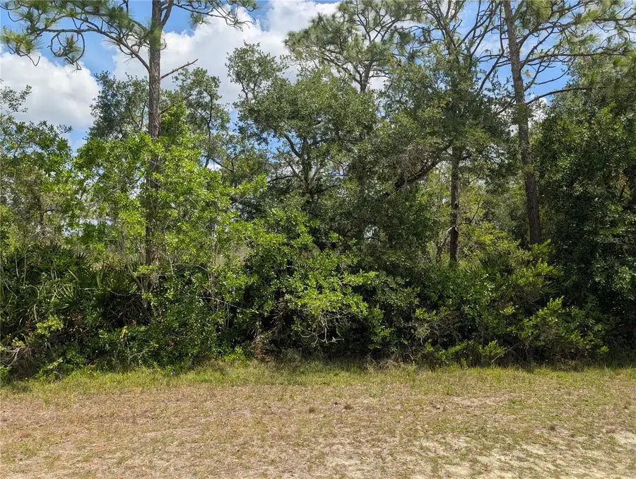 716 Orchid Drive, Indian Lake Estates, FL 33855 - #2