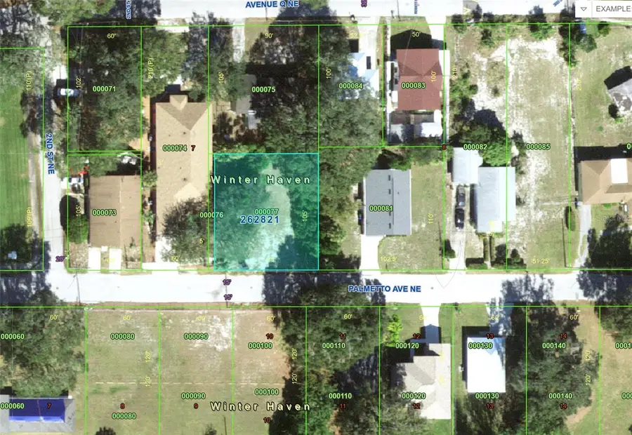 223 Palmetto Avenue Ne, Winter Haven, FL 33881 - #2