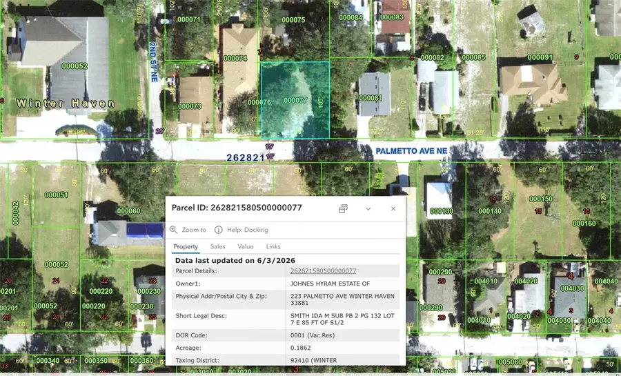 223 Palmetto Avenue Ne, Winter Haven, FL 33881 - #3