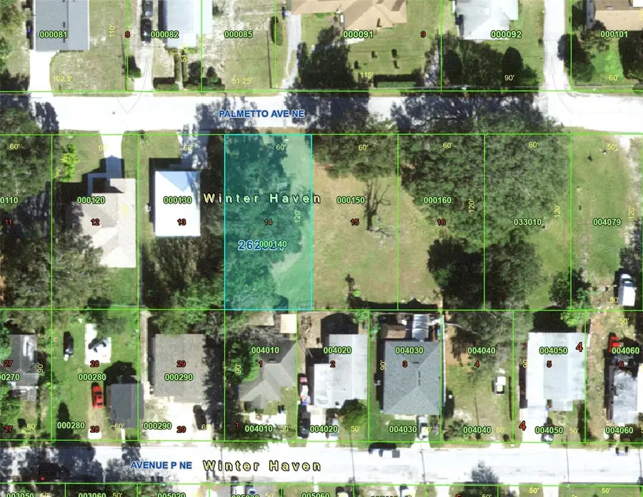 Palmetto Avenue Ne, Winter Haven, FL 33881 - #2