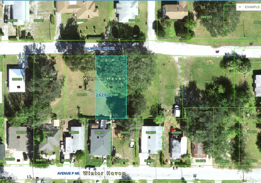 Palmetto Avenue Ne, Winter Haven, FL 33881 - #3