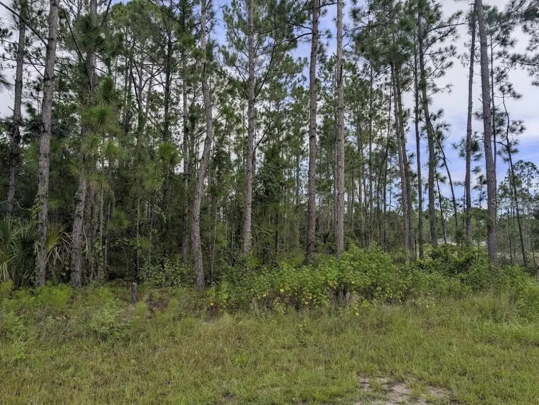 1122 Poinciana Drive, Indian Lake Estates, FL 33855 - #1