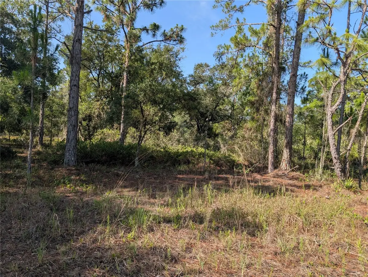 819 & 821 Allamanda Drive, Indian Lake Estates, FL 33855 - #1