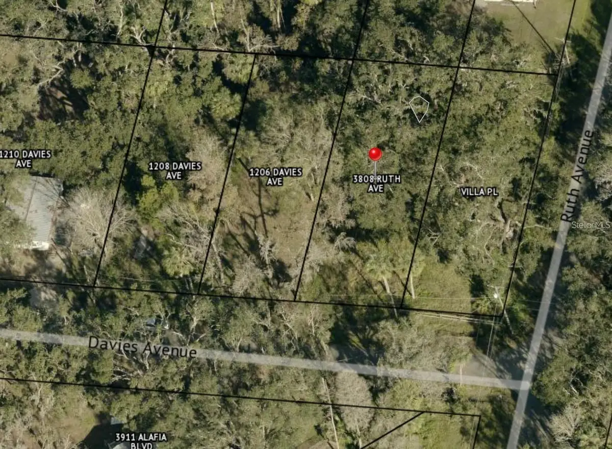 1204 Davies Road, Brandon, FL 33511 - #1