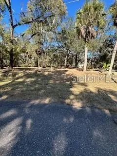 1204 Davies Road, Brandon, FL 33511 - #2