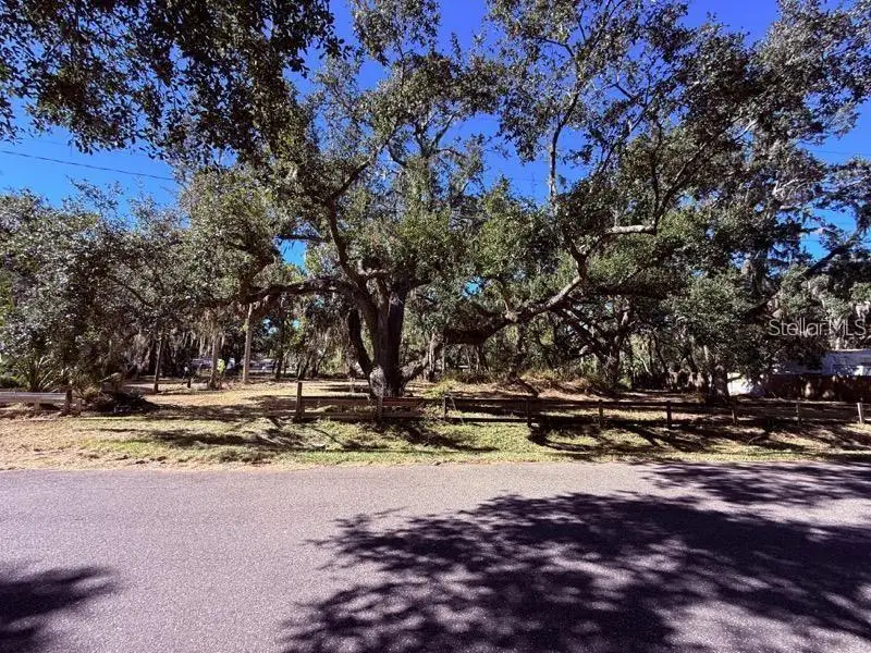 1204 Davies Road, Brandon, FL 33511 - #3