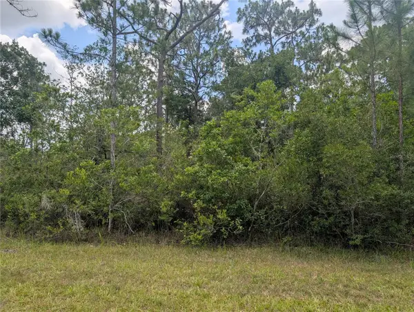 519 Camellia Drive, INDIAN LAKE ESTATES, FL 33855